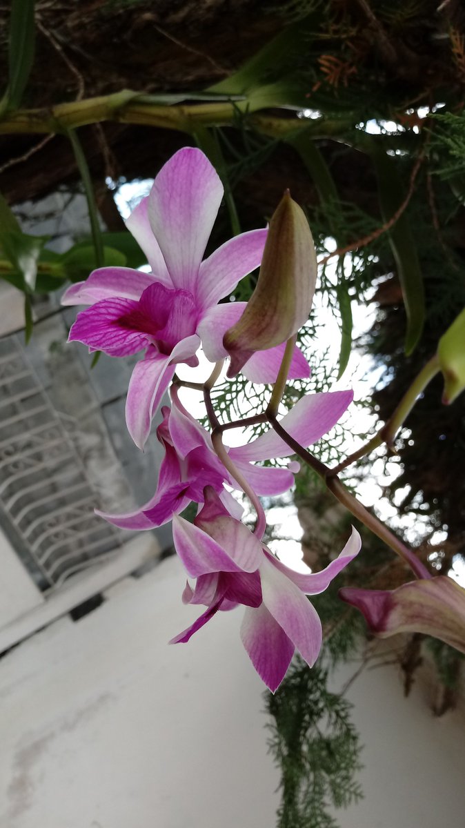 CECPRASCA's tweet photo. La belleza de la naturaleza siempre es impresionante y maravillosa... por simple que sea! es bella... https://t.co/PHKQ6OIQFK