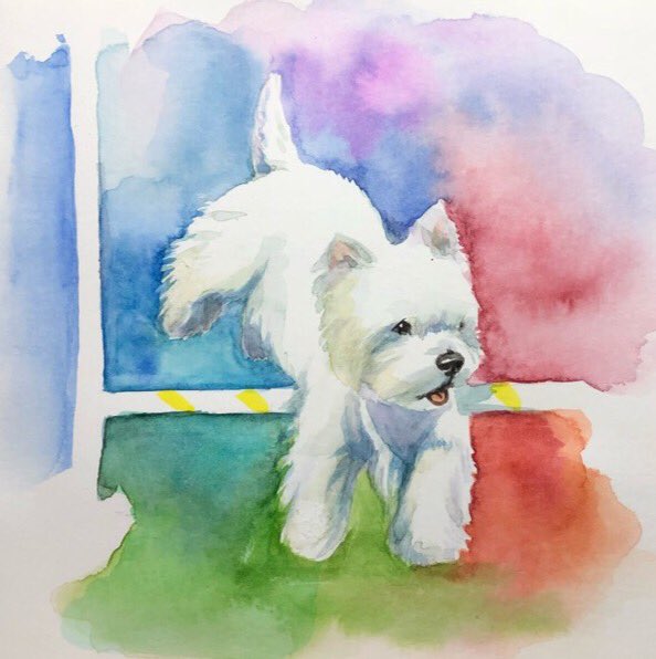 thewestiegang's tweet photo. #30x30directwatercolor2018 A little rough...trying to capture the action. Like the colors. https://t.co/vjePgAta8J