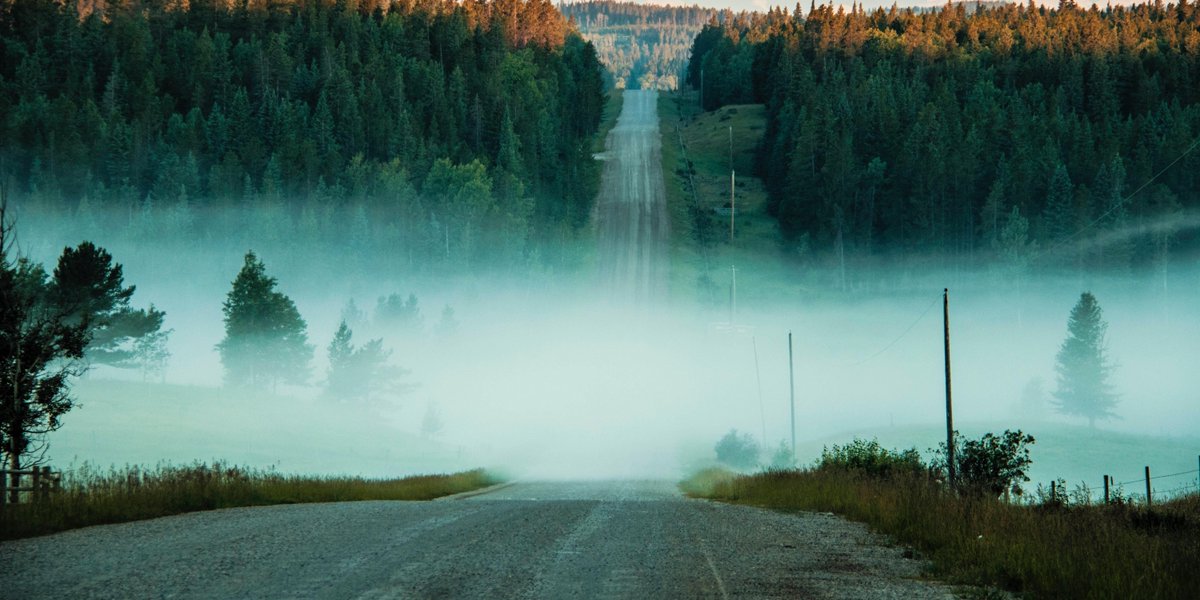 timehacker_io's tweet image. “Long-range planning works best in the short term.”
Doug Evelyn #planning #time #today #timehacker