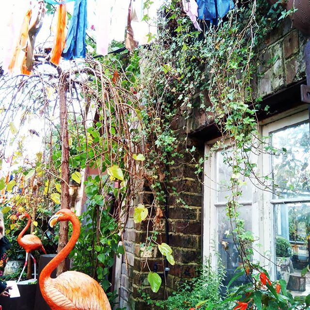 Seed_Social's tweet photo. @thegrounds is such a gorgeous place to visit, fabulous food, wonderful coffee surrounded in the most beautiful garden settings.  Amazing place to hold a function. https://t.co/1g08kEW3U4 https://t.co/uYwQbbQm3e