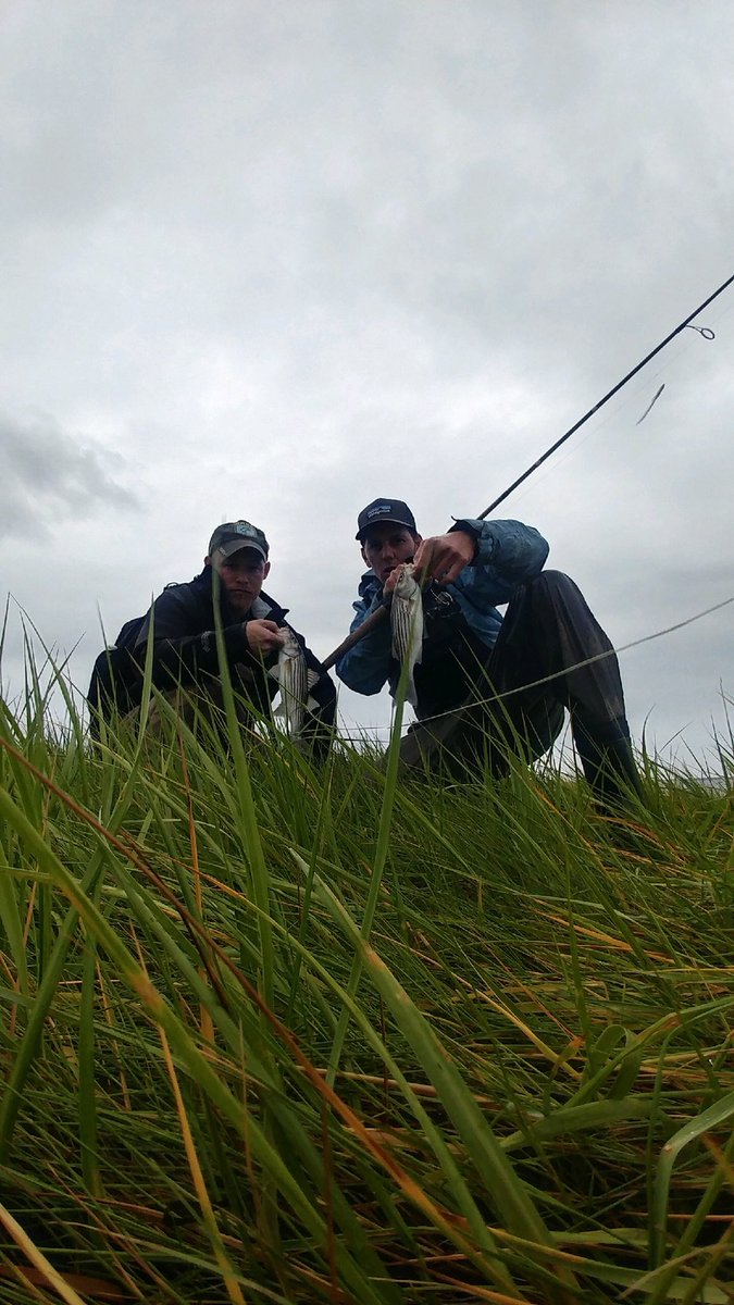 JarredP's tweet image. #NewProfilePic #WC #advancednovice