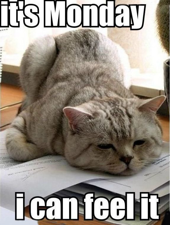 PendletonNW's tweet image. Morning all @abelalarm @JNE_Security @RecoverKey  @OnwatchPlcNorth &amp;amp; @impact_sec - HAGD. #StaySafe