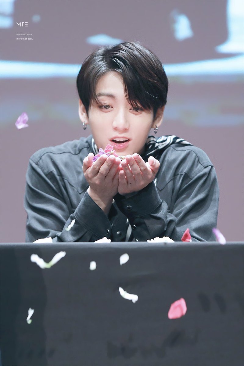 kookpiics's tweet photo. so beautiful https://t.co/ayWxC79pzl