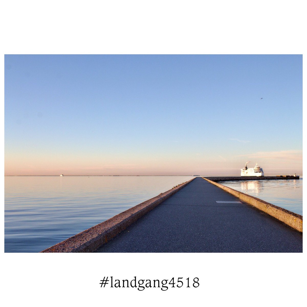 Holla, die Forest 🌳 Fairy 🧚‍♀️! Eben noch Freitag und jetzt schon wieder Montag. Wo ist das Wochenende?