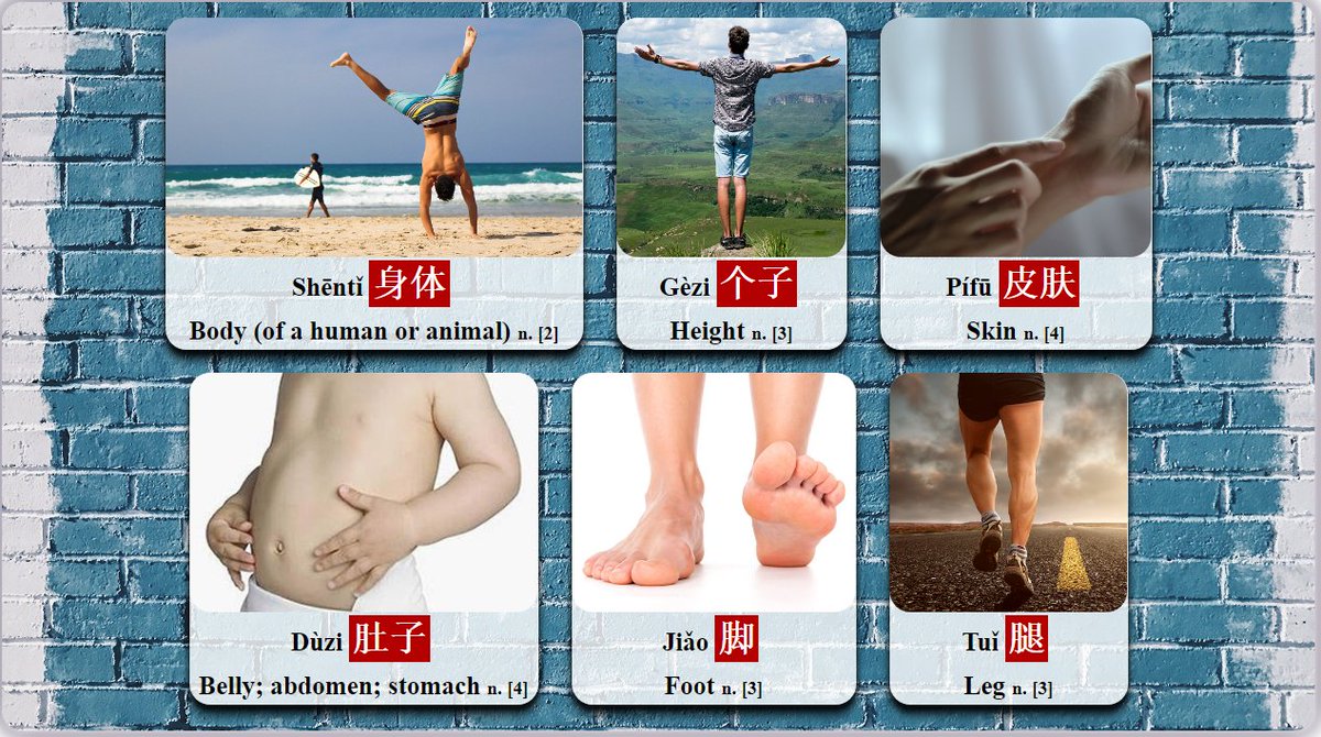 Daily_Zhongwen's tweet photo. #Flashcard: #Chinese_Nouns No.13 [HSK level 2,3,4]
Shēntǐ-身体-Body (of a human or animal), Gèzi-个子-Height, Pífū-皮肤-Skin, Dùzi-肚子-Belly; abdomen; stomach, Jiǎo-脚-Foot, Tuǐ-腿-Leg.

#learn_Chinese #learn_mandarin #学中文 #学汉语 #Chinese_language #Chinese_vocabulary #HSK https://t.co/H9ZU8nfAlO
