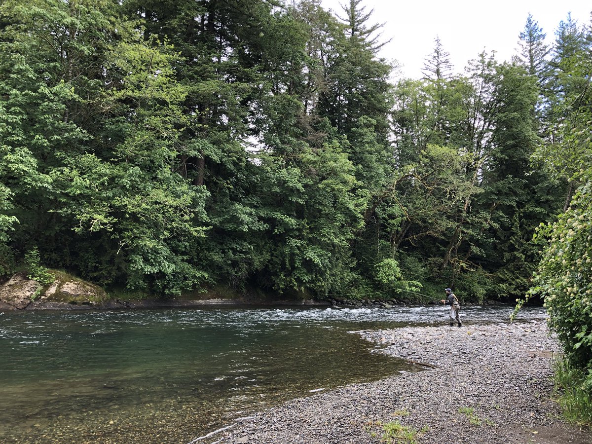 Earlier today while walking the banks of the Green River. #CatchRelease #CleanWaters