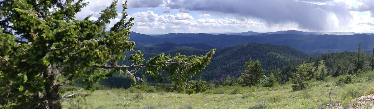StonerNerdLily's tweet photo. High on top of a mountain. #Stoner #Weed #HighLife #HighOnAMountain #Wilderness #MountainTop https://t.co/ca5dQetaBm
