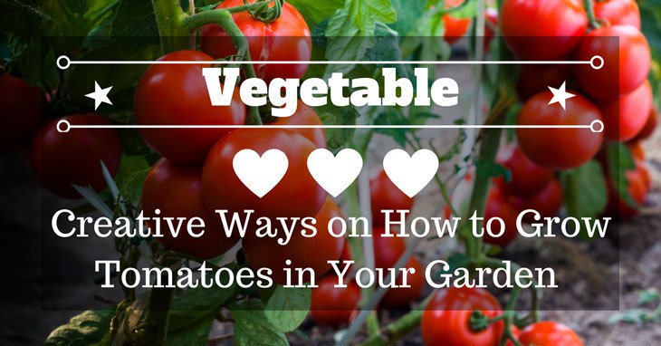 Ella Wilson tweet media