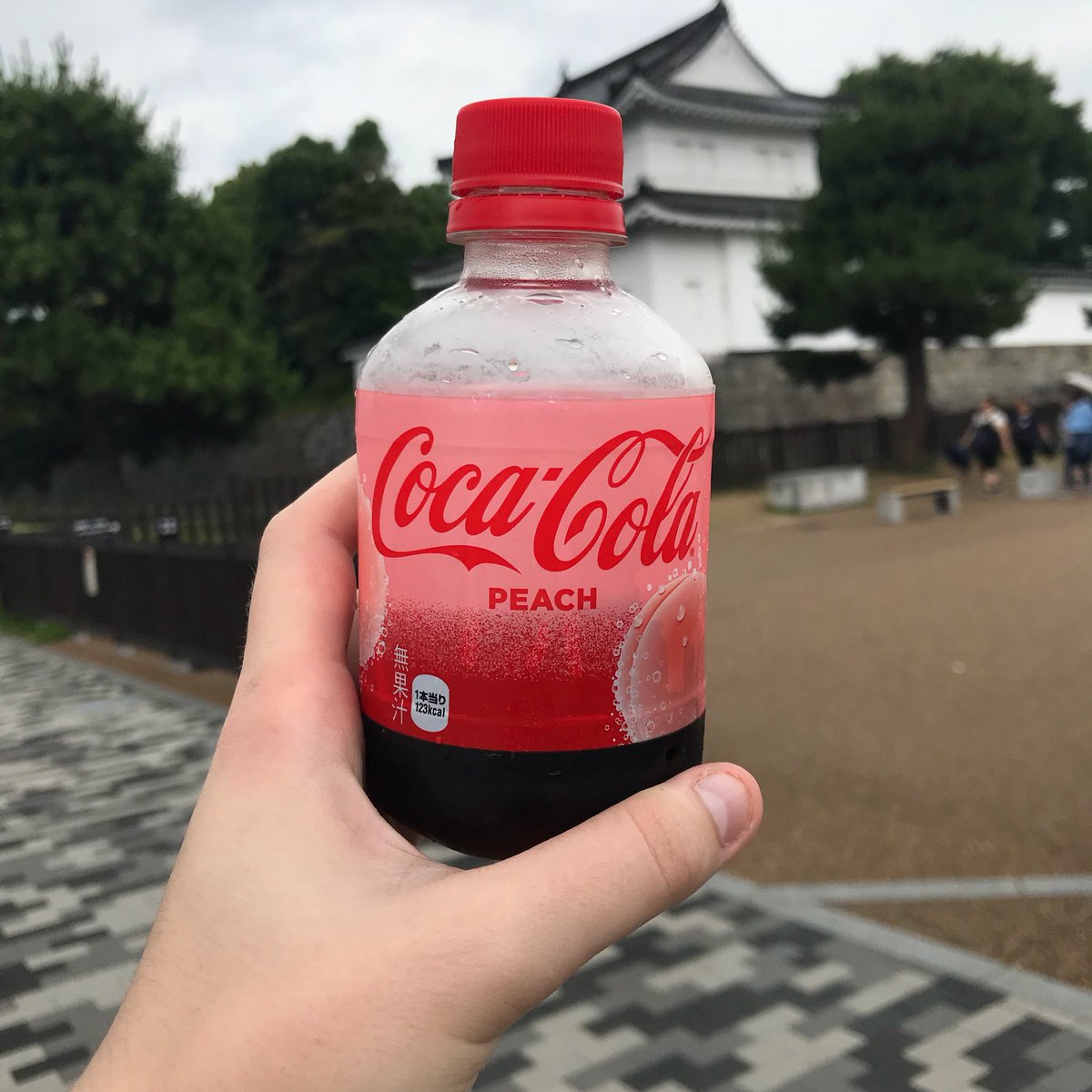 rachelwaltersv's tweet photo. Kyoto #studyabroad #untmij2018 #untstudyabroad https://t.co/llDf1ecodC