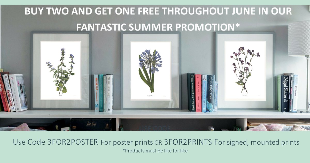Botanical Art tweet media