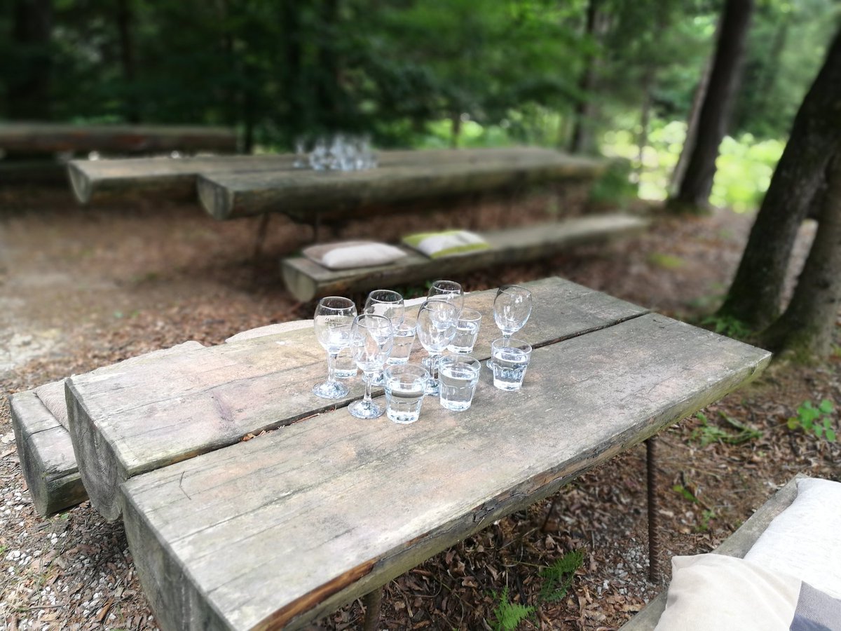DoroFischer's tweet photo. Outdoor #coworking in #Slovenia - such a great idea!! #incomeproject https://t.co/wUkd7AMCTp
