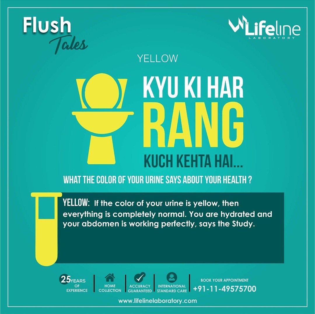 lifelinepathlab's tweet photo. Hey! Is the color of your Urine is Yellow? Check out what the study says!
#lifelinelaboratory #bestpathlab #lab #pathology #health #wellness #healthtips #harrangkuchkehtahai #tales #flush #flushtales #toilet #flushing #rang #colour #yellow #hydrate #urine #urinecolor #pee #peeing https://t.co/CccUzcjBrK