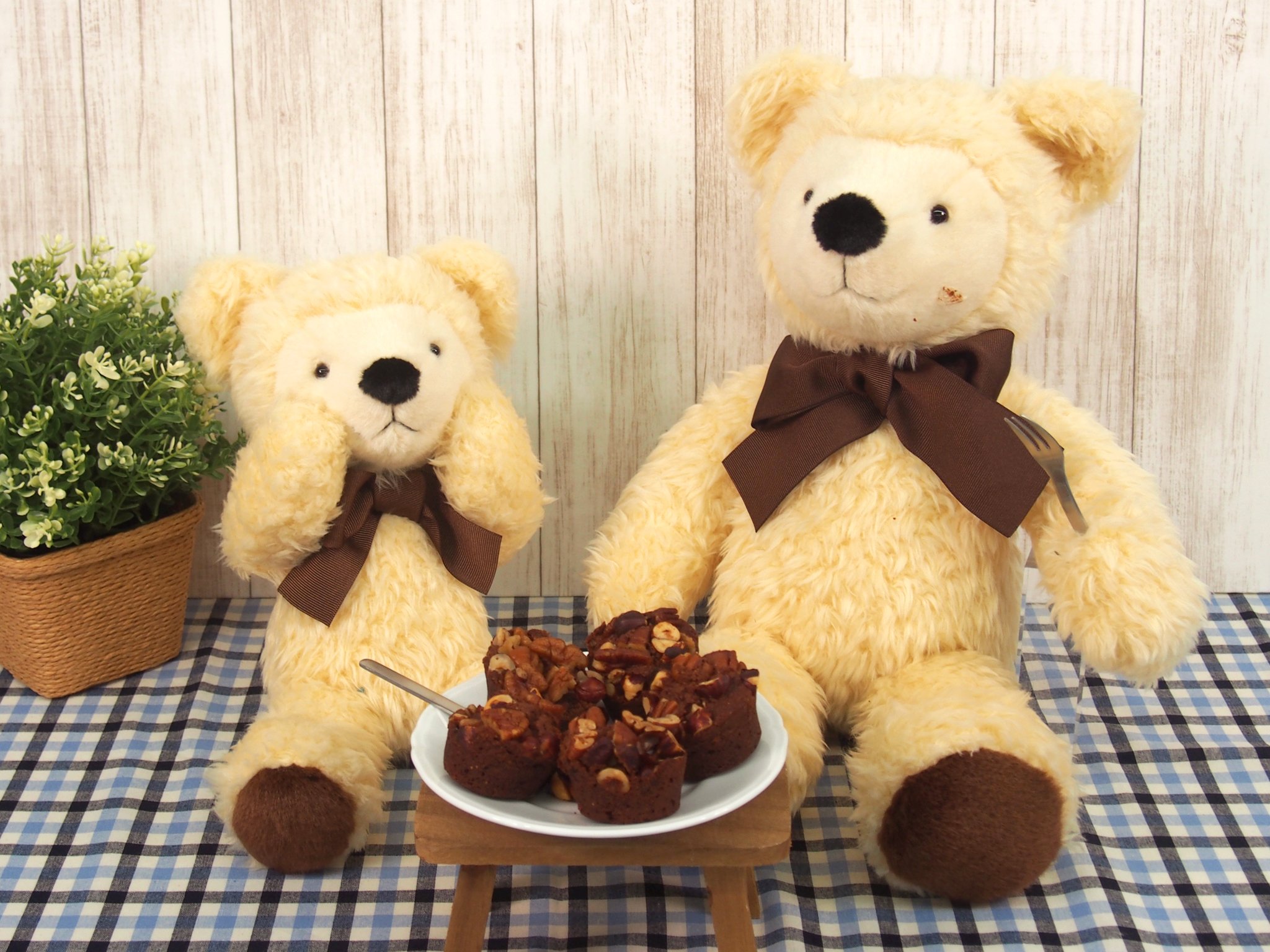 サンアロー くま ぬいぐるみ Lサイズ こぐまのTED