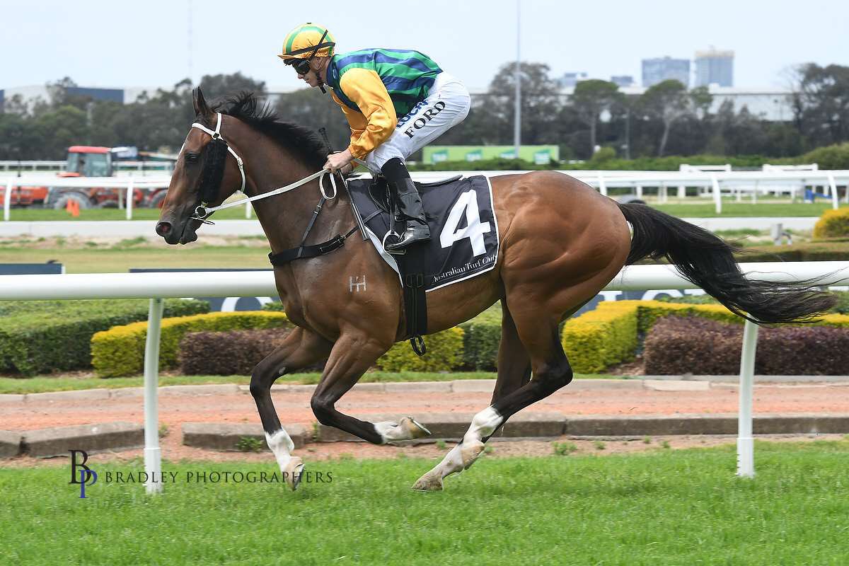 PrideRacing's tweet photo. Easy Eddie and @KPMcEvoy thoroughly enjoyed the softer conditions today when winning the Invictus Sprint by 3.8L @atc_races .Congratulations to all his connections. #gomurphy https://t.co/TX6N76Q0dz