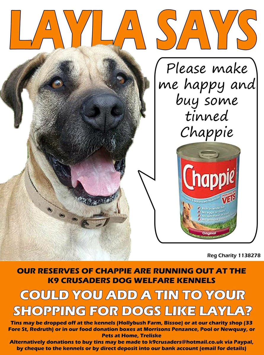 chappie dog food morrisons