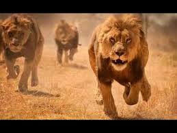 KRockshell's tweet image. God is with you. Dont be afraid