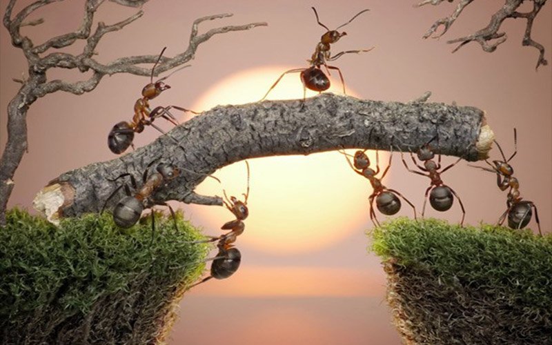 KRockshell's tweet image. Think Generational