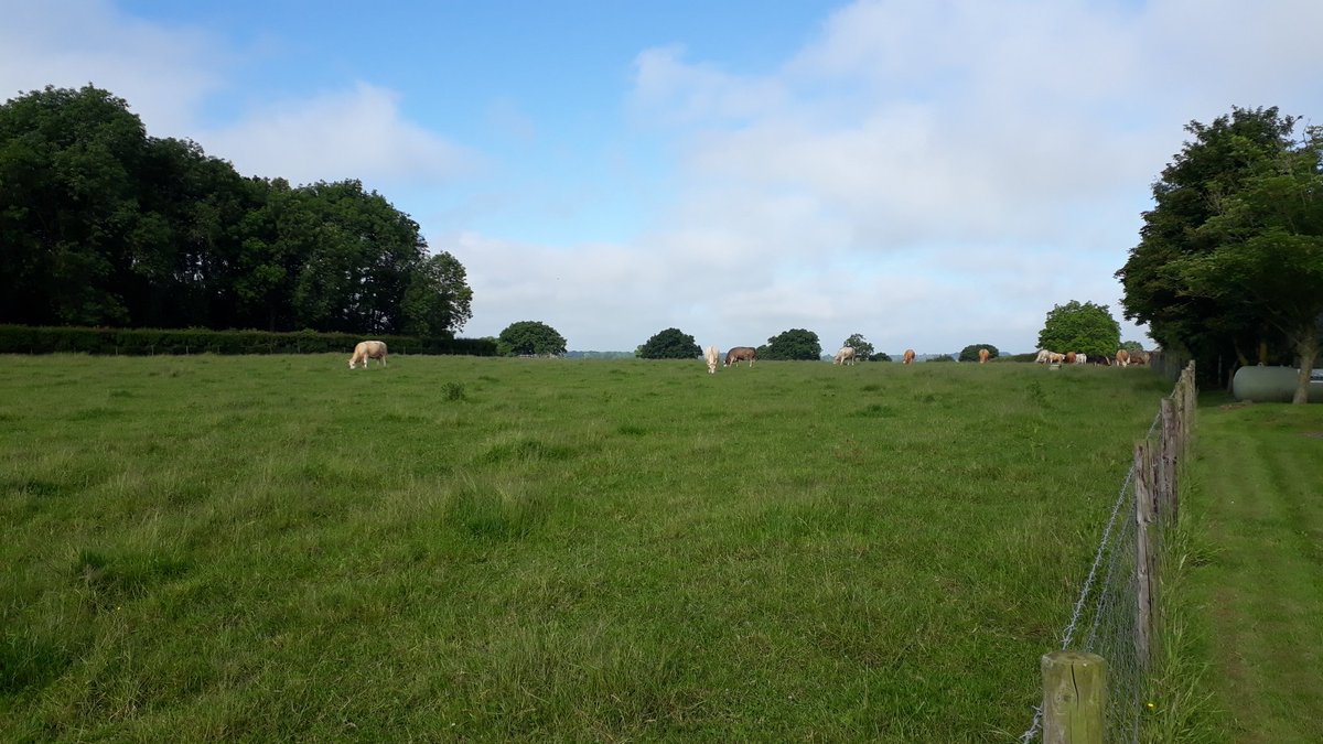 Corinne Stratton tweet media