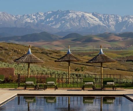 luxurytravel's tweet image. 5 of the most relaxing retreats in #Marrakech bit.ly/1S6DhcT #moroccotravel