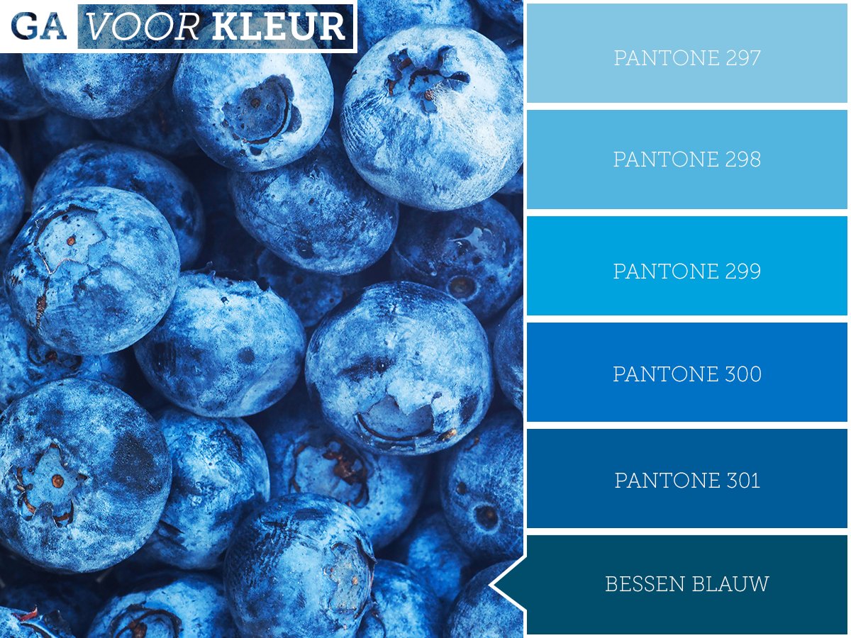 Het is vandaag 'World Meat Free Day', een goede reden om wat meer groenten en fruit te eten. De blauwe #bes zit vol vitamine A, B en C en daarnaast ook nog magnesium en #antioxidanten. Eet jij vaak blauwe bessen? #blauwebes #gavoorkleur #worldmeatfreeday
