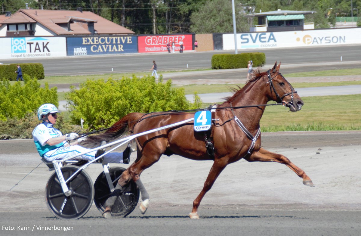 Vinnerbongen_no's tweet photo. Caid Griff @StallZet i forkant av Sweden Cup forsøket på Solvalla sammen med Örjan Kihlström, 26.05.2018. Foto: Karin / Vinnerbongen #Solvalla #Elitoppshelgen #stallzet #CaidGriff #glansbilde https://t.co/X9LgrkAwJ4