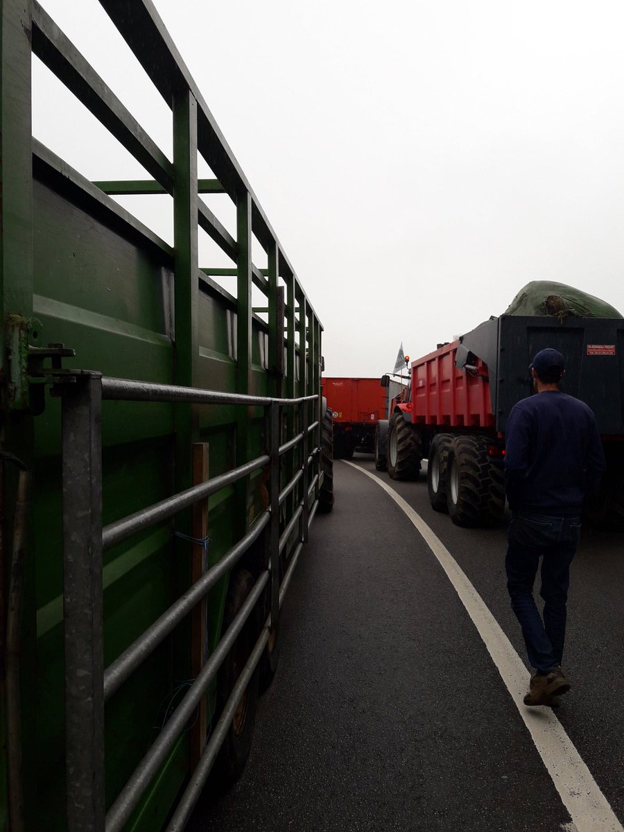 Marie Andrée Luherne🌏🐄🌿🇪🇺🇫🇷 tweet media