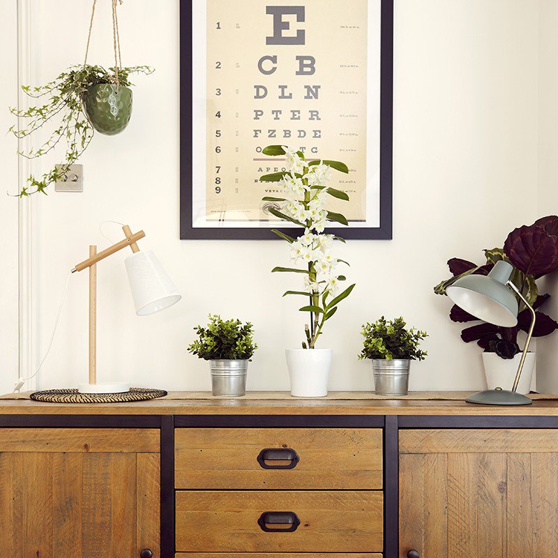 Lighting_Direct's tweet image. Breathe new life into your home with these stunning fittings from our Evergreen #lighting trend. lighting-direct.co.uk/ideas/top-pick…