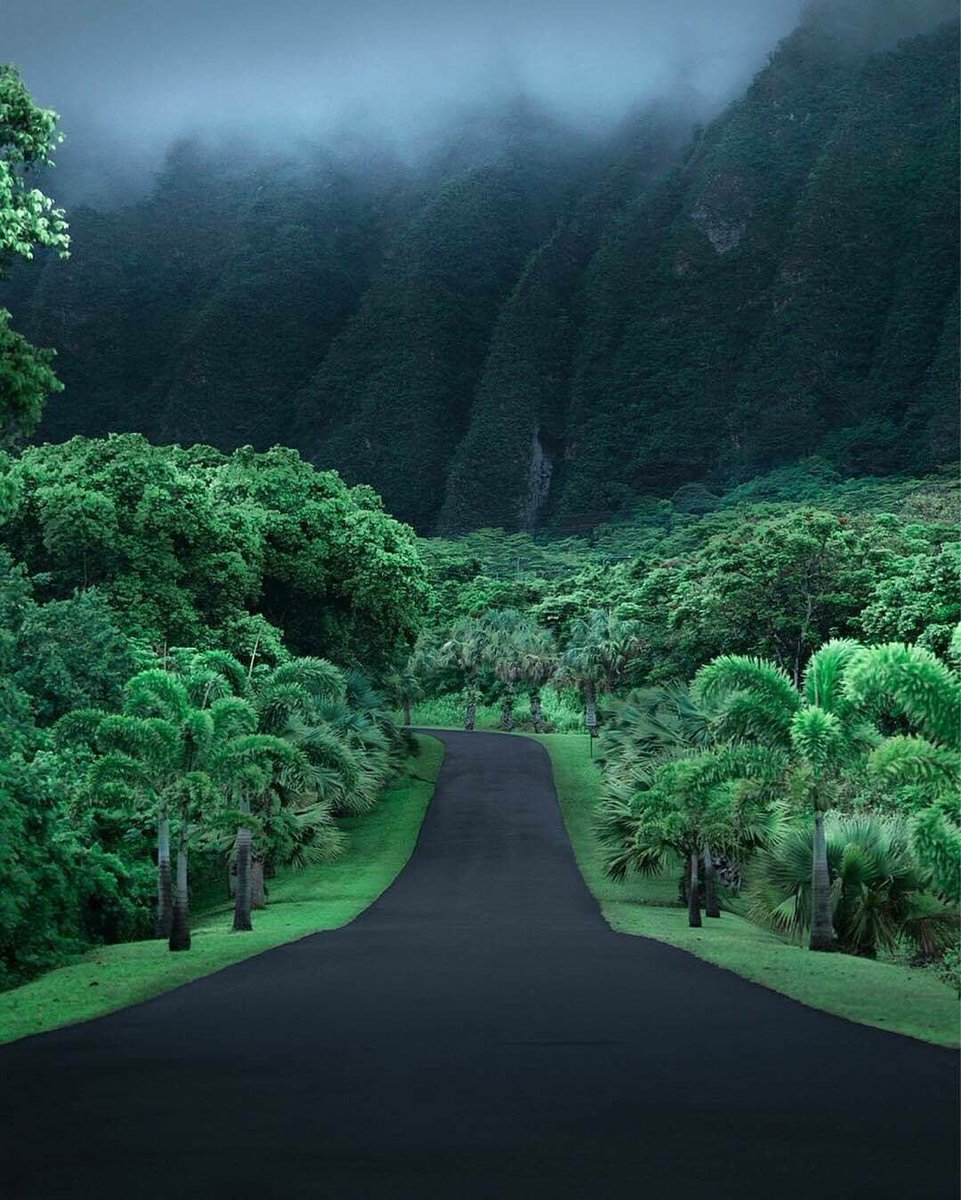 iamshipp's tweet photo. #Aloha  Green 💚 https://t.co/MBgCBerPP0