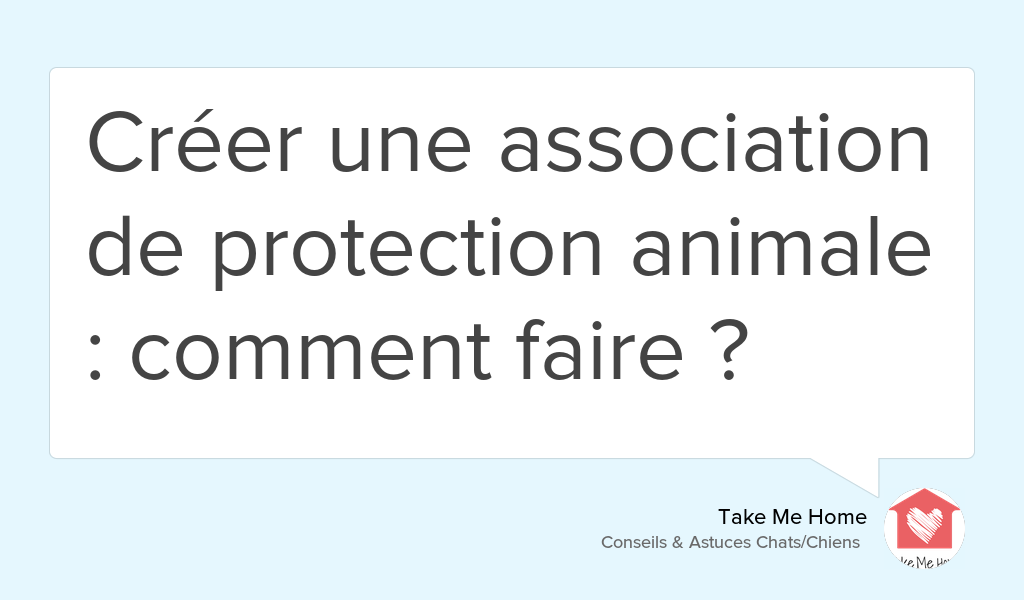 On répond à la question de Laura : toutes les étapes et éléments à savoir pour créer son association ! goo.gl/McbQgO