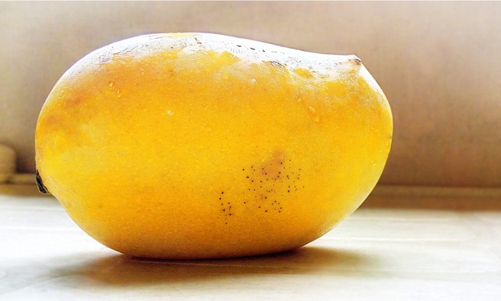 FoodTribute's tweet photo. Improve Your Gut Health By Eating Mangoes https://t.co/s8uE5p4rrc https://t.co/AxuFjoUJPa