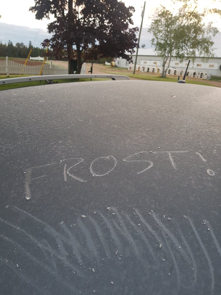 June 11 and we just had another frost. What a year!!