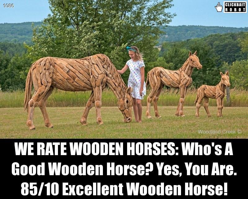 WE RATE WOODEN HORSES: Who's A Good Wooden Horse? Yes, You Are. 85/10 Excellent Wooden Horse! #WoodenHorse