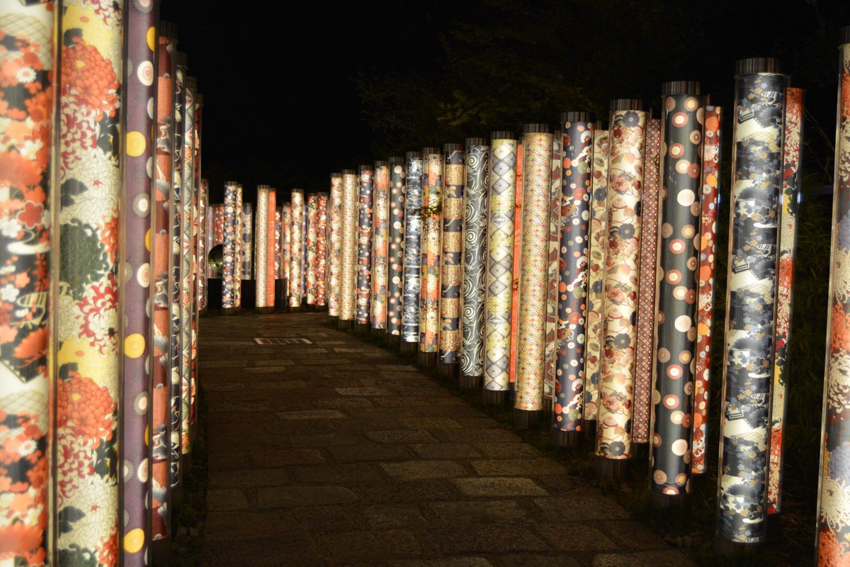 japantravelbug's tweet photo. I’ve said it for the last year, but this would make an outstanding place for a #鹿倒立 #男子新体操 #staghandstand selfie!! #kimono forest #嵐山 #arashiyama #京都 #kyoto #nikon5200 #travelpics https://t.co/uMwxXri0Xt