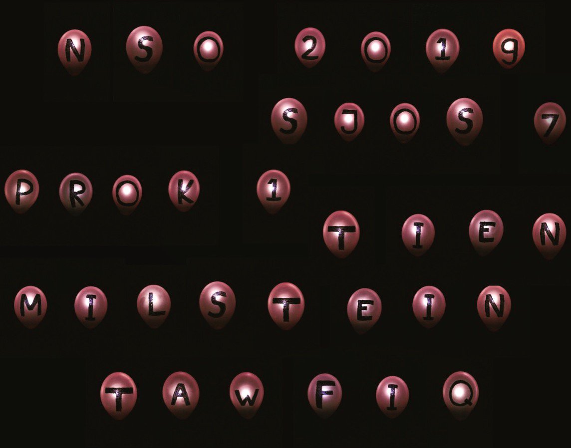 Het programma van NSO 2019 is bekend! #sjos7 #prokofjev #mariamilstein #vioolconcert #arjantien #hawartawfiq