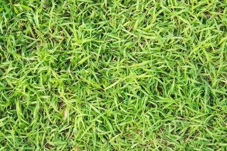 robertcanta_98's tweet image. #EtherMiningSoftware, #BestCloudMining CEX.IO Website Tip of the Week #3 goo.gl/Lun5uZ