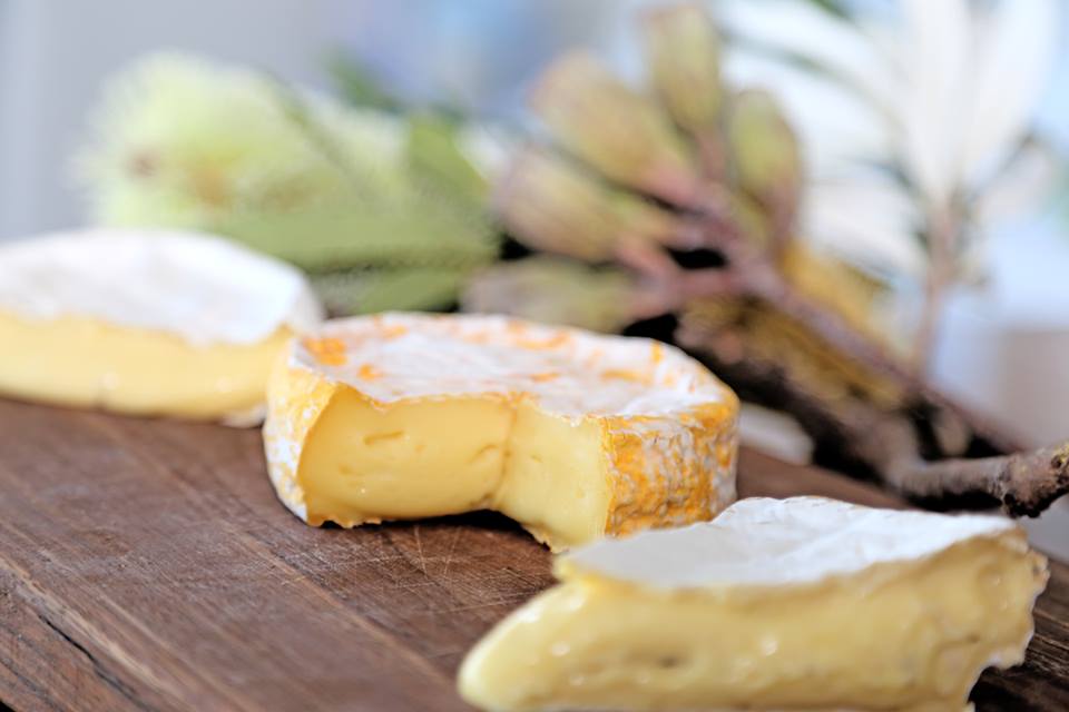 Coming up! 

22 - 24 June | Good Food + Wine Show Sydney
🎟️bit.ly/WoombyeSydney

21 - 22 July | Regional Flavours Brisbane 
🎟️bit.ly/WoombyeBrisbane

26 - 28 October | Brisbane Good Food + Wine Show
🎟️ bit.ly/GoodFoodBrisba…
#woombyecheese