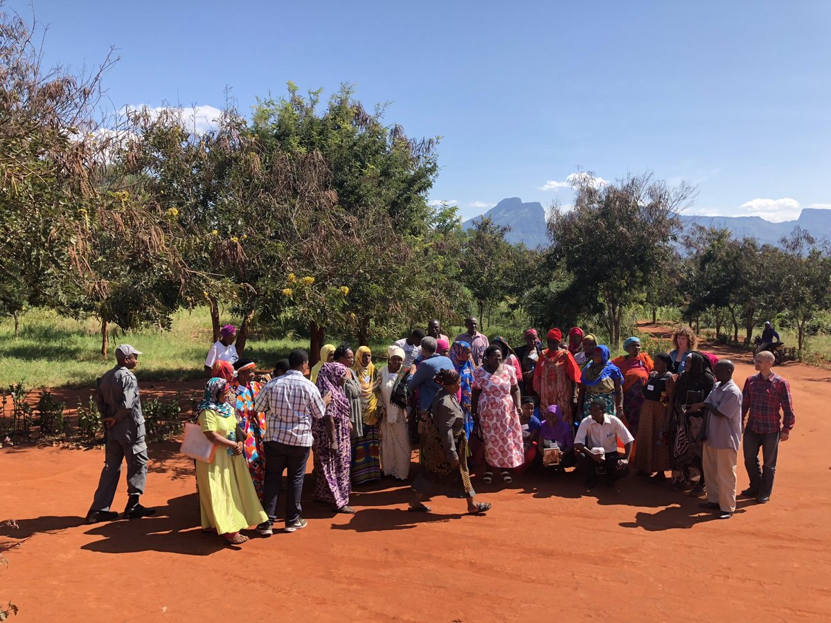 Edward Mendelson tweet media