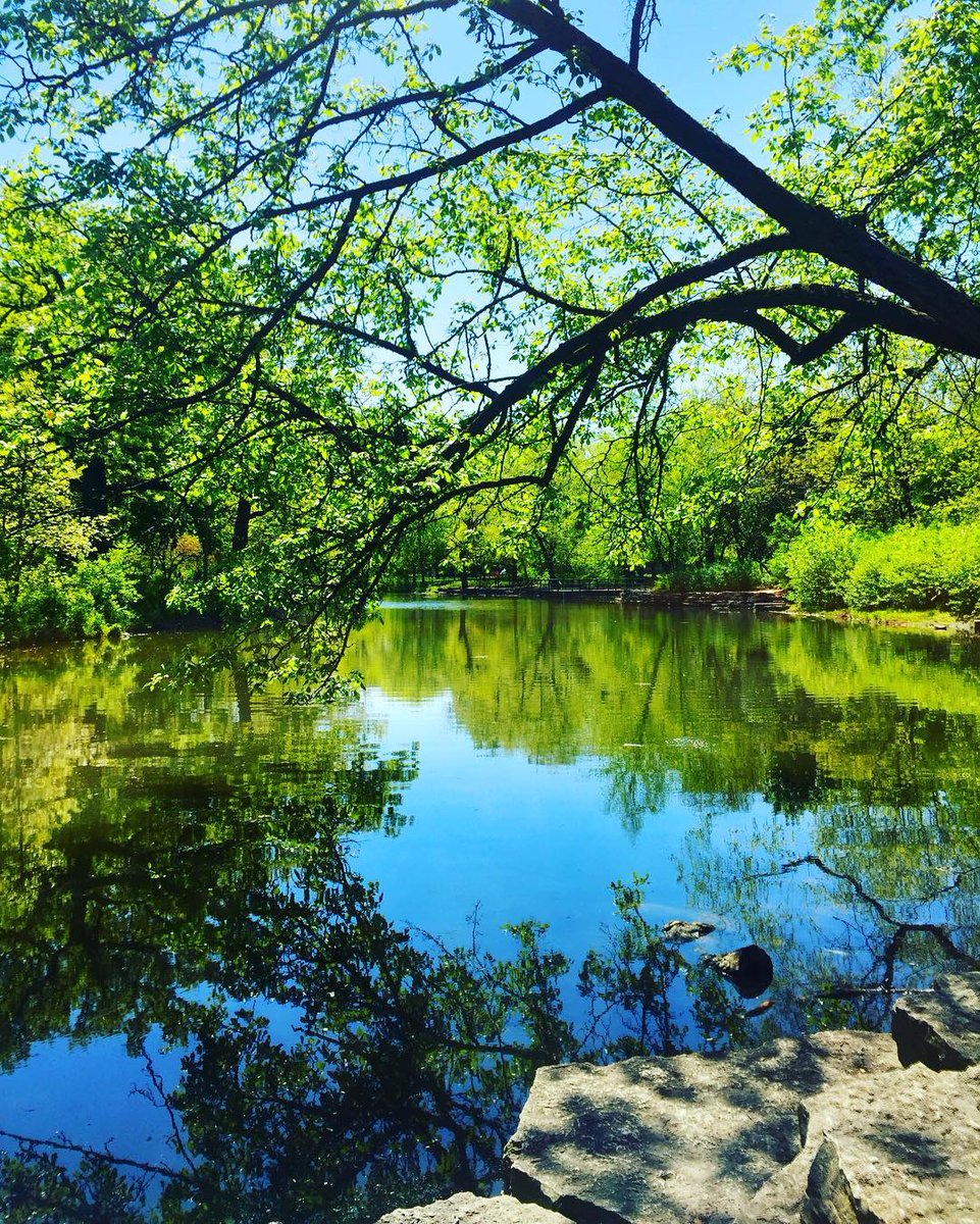 The sun is out , sky is blue #mondayblessings everyone !! Have a beautiful week ahead #Serenity #meditation #healingnature #mindbodyspirit