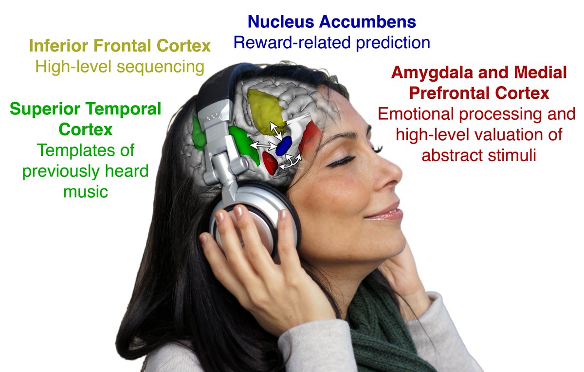 Влияние музыки на память. Воздействие музыки на мозг человека. Процесс восприятия музыки мозгом. Какмызыка влияет на мозг. Влияние прослушивания музыки.
