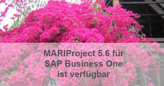 initconsulting's tweet image. #MARIProject in der neuen Version 5.6 für #SAPBusinessOne bietet ein Newsletter-Tool und unterstützt problemlos die DSGVO: b1-blog.de/mariproject-ve…