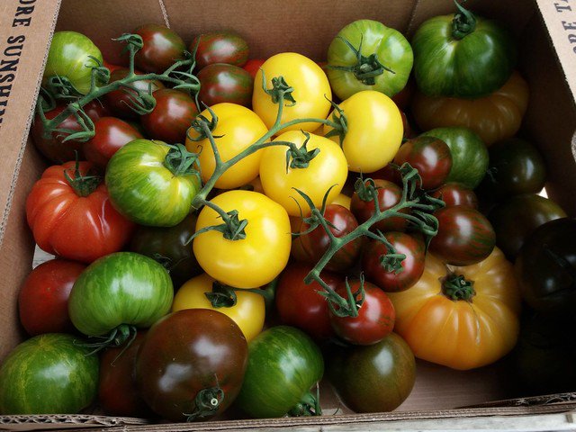 NorthernFoodNet's tweet photo. Bringing some colour to this years Trade Show are the Fruit &amp; Veg exhibitors; @OrganicNorth @MancVegPeople @NoonesFresh and Stockport Markets very own #WalleyFruitandVeg #FDTS18 #FreshandFruity #AllThingsFresh https://t.co/3UdIulGteM