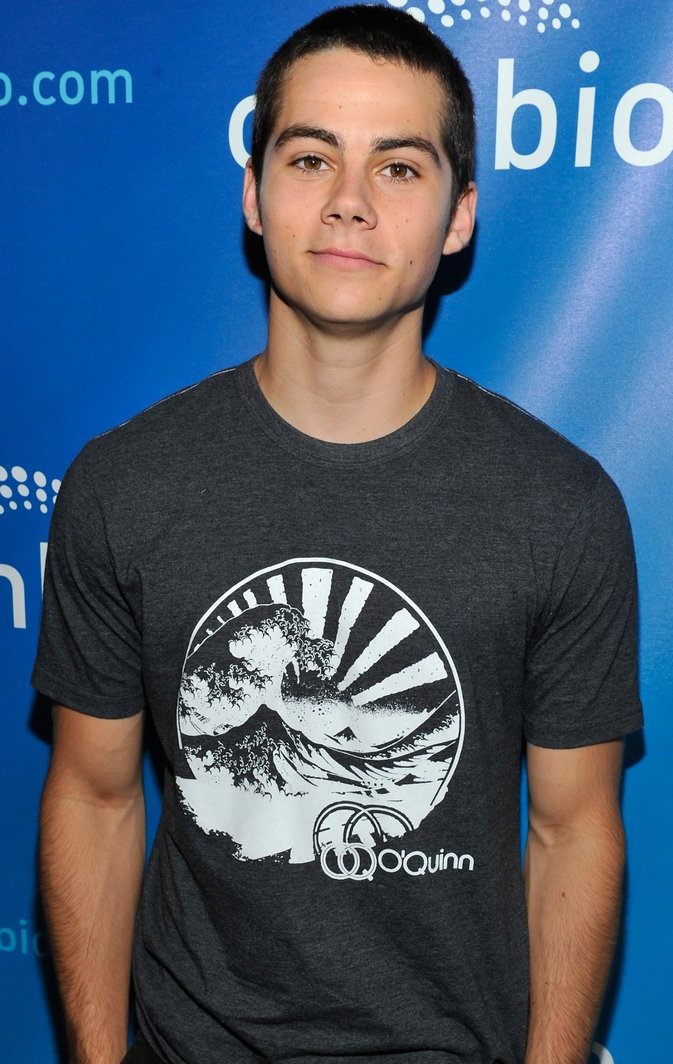 baekrigon's tweet photo. BUZZCUT DYLAN THEN AND NOW https://t.co/qd9teEg1G7