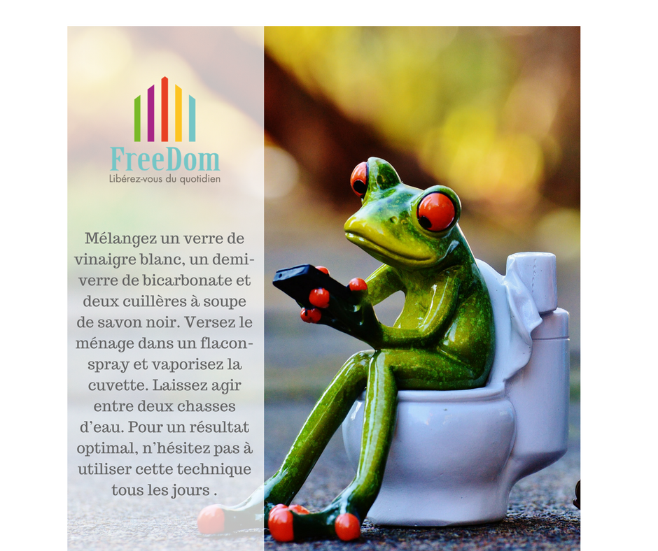 FreeDomAvesnes's tweet photo. Savez-vous comment détartrer vos WC ? https://t.co/PhLr11Wk2K