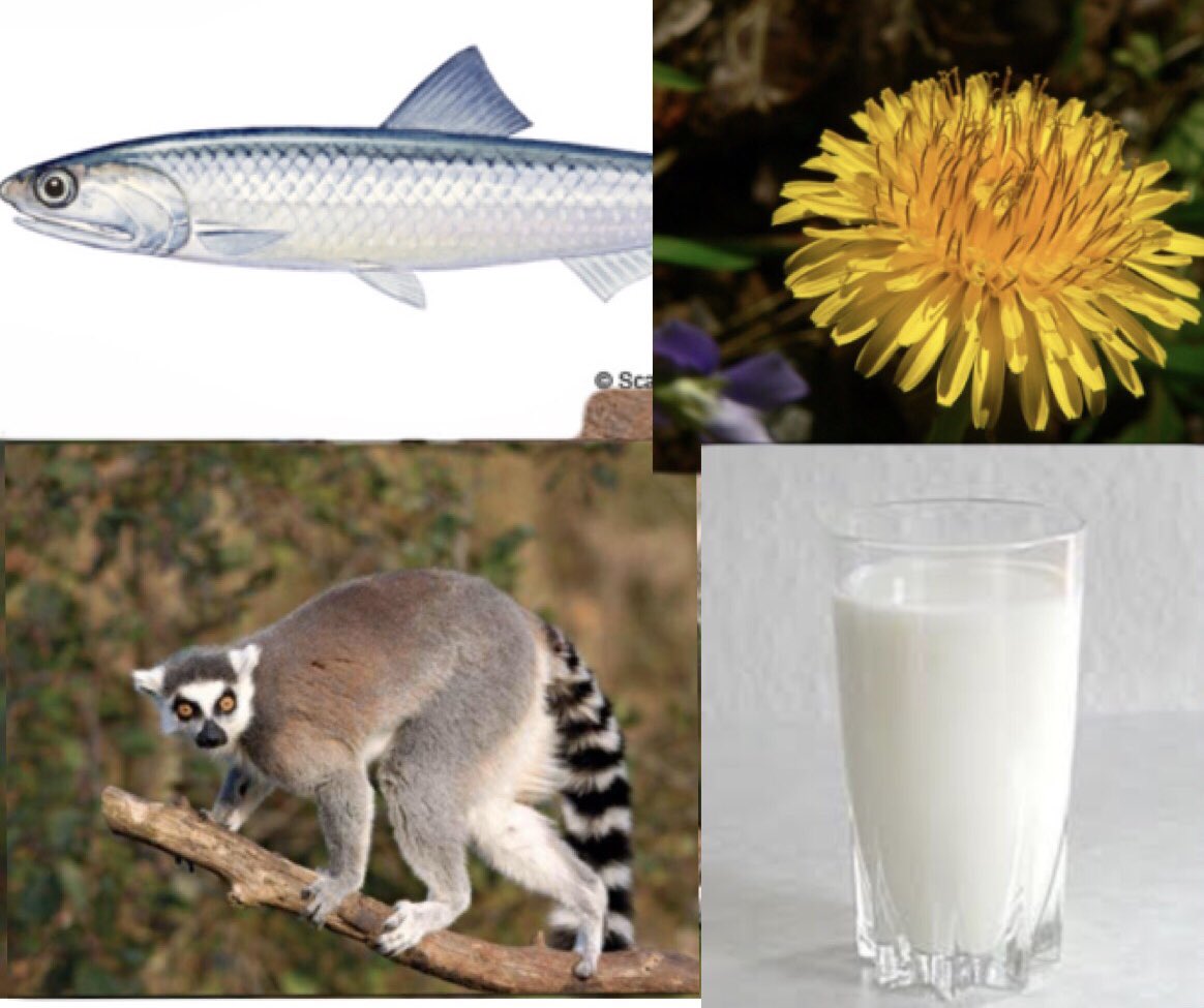 mulletlicous's tweet photo. AQA biology paper 2 with no context  #GCSEs2018 #aqabiology https://t.co/VwIgLsgbpa