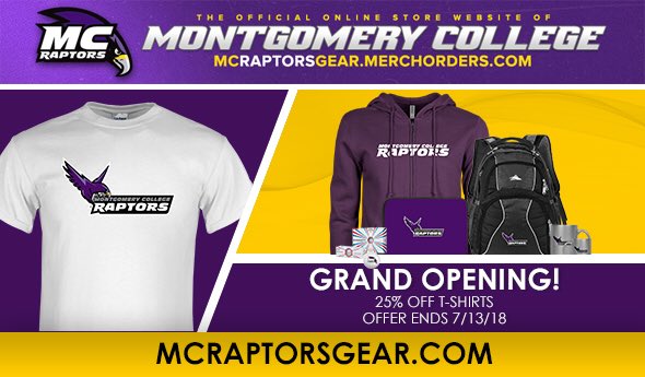 raptors store online