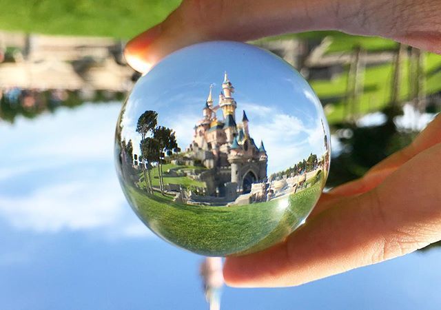 ericxdisney's tweet photo. Disneyland Paris Through the Looking Glass 🏰 @disneylandparis https://t.co/rjezH5VOzR