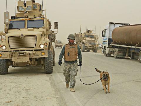 “I wanted a dog that had been through some of the things I’d been through… I wanted to give another veteran a home." Read about Sgt. Ken Freese’s decision to adopt Diego, a retired #Army #servicedog, here: bit.ly/2tp9kCv