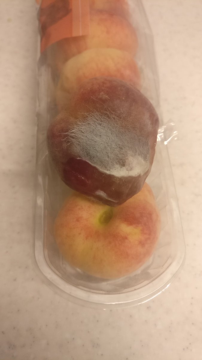 _kmizzle's tweet photo. @Tesco not doing great with the whole fruit and veg thing 😒 https://t.co/UgrMaPjRCQ