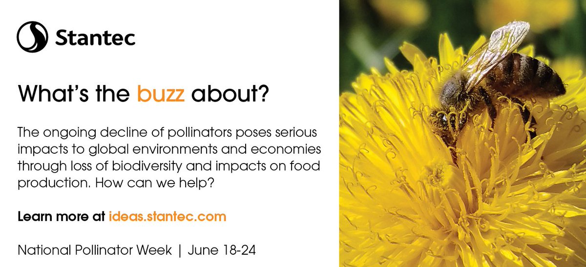 In recent years, experts have been growing increasingly concerned about the worldwide decline of the pollinator population. Learn more about how incorporating pollinator habitats into your projects can make a difference. ow.ly/Fkfl30kycCo #PollinatorWeek #Pollinators