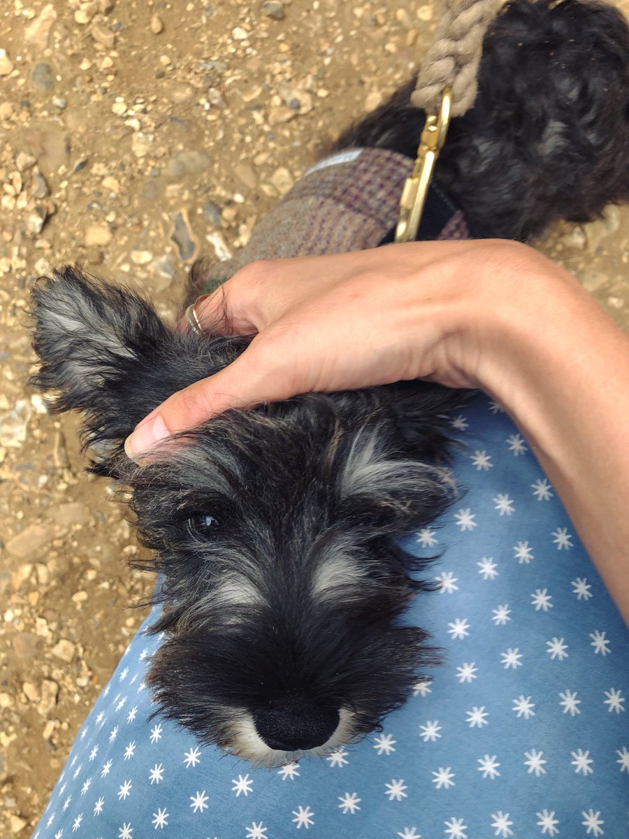 Hattie West tweet media